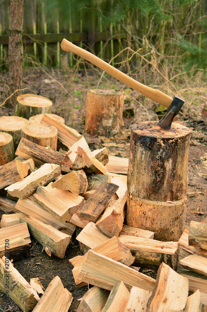 Harvesting of firewood with a special ax Harvesting of firewood with a special ax