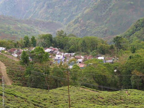 Darjeeling , INDIA , 15th APRIL 2011 : Aerial View from the cable car with TEA Plantation in Darjeeling City, India photo