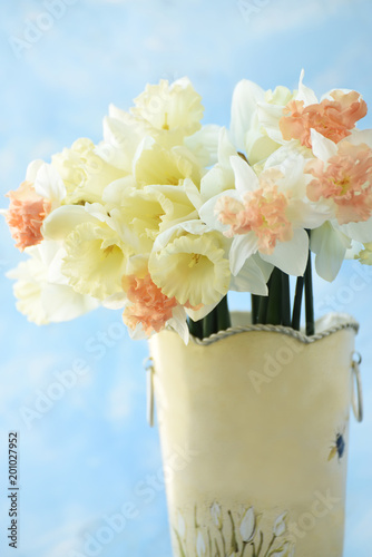 Fototapeta Naklejka Na Ścianę i Meble -  flowers, daffodils, light, gentle, close-up, petals, clean, drops, moisture, garden, country, cozy, spring, flowering, lush, fragrant, beautiful, species,
