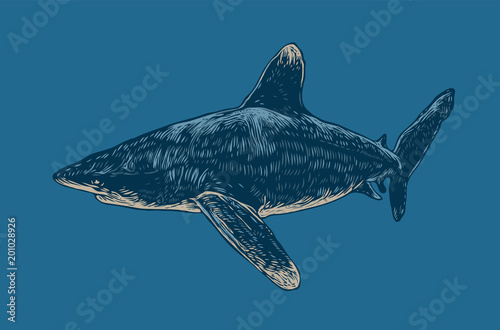 Shark. Engraving Style. Vector Illustration.