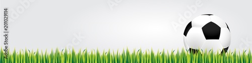Soccer ball on the grass, banner, vector illustration