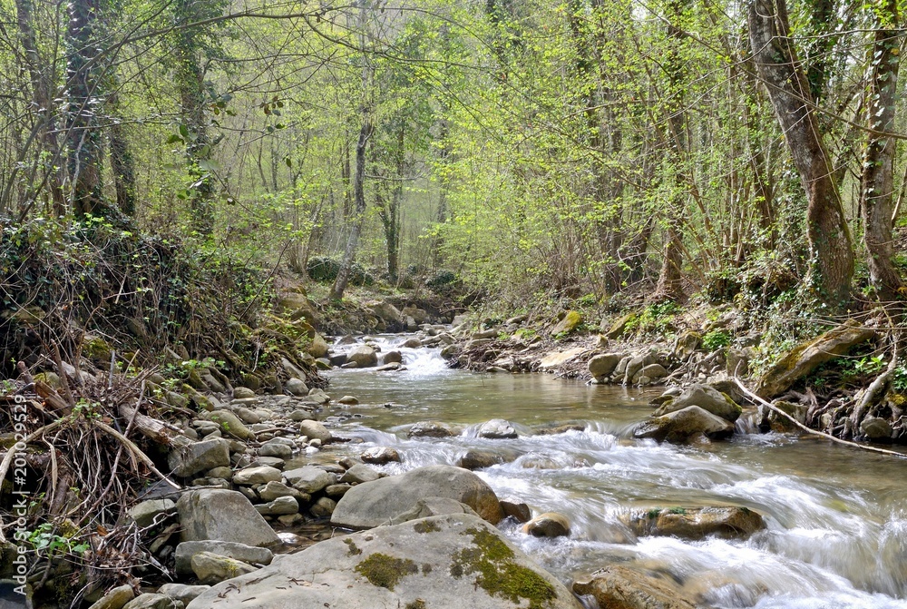 Tuscany, Italy. Stream flowing down through a spring forest Tuscany, Italy. Stream flowing down through a spring forest