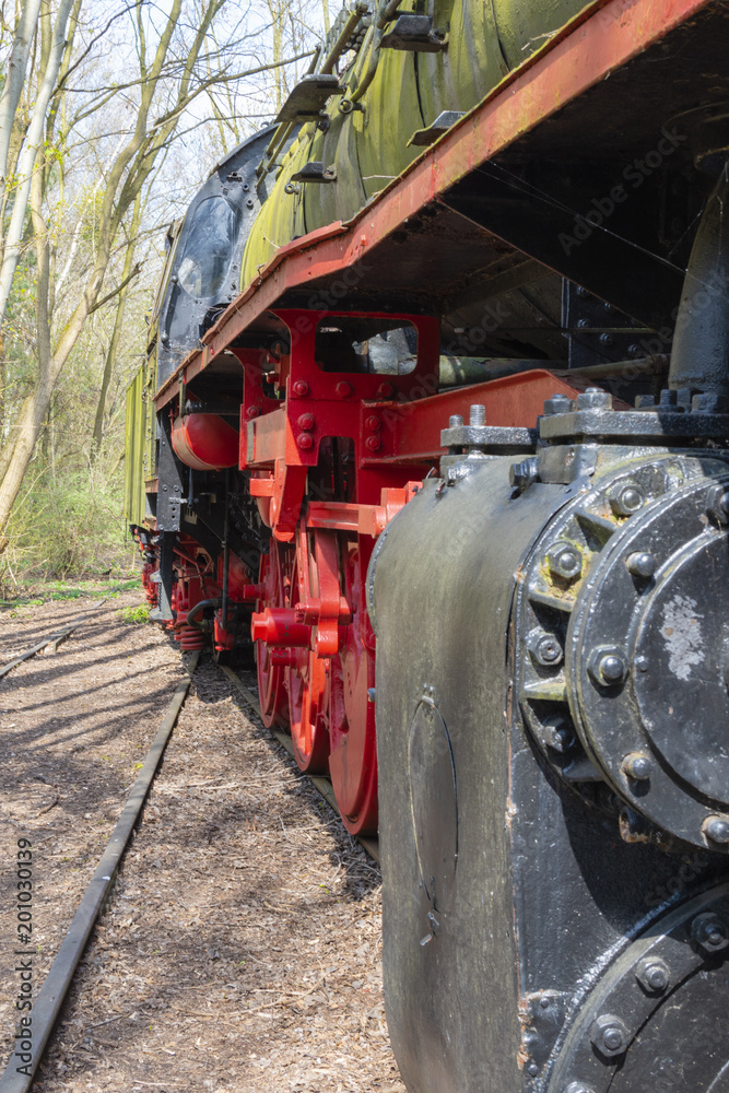 Fototapeta premium Profile of a former