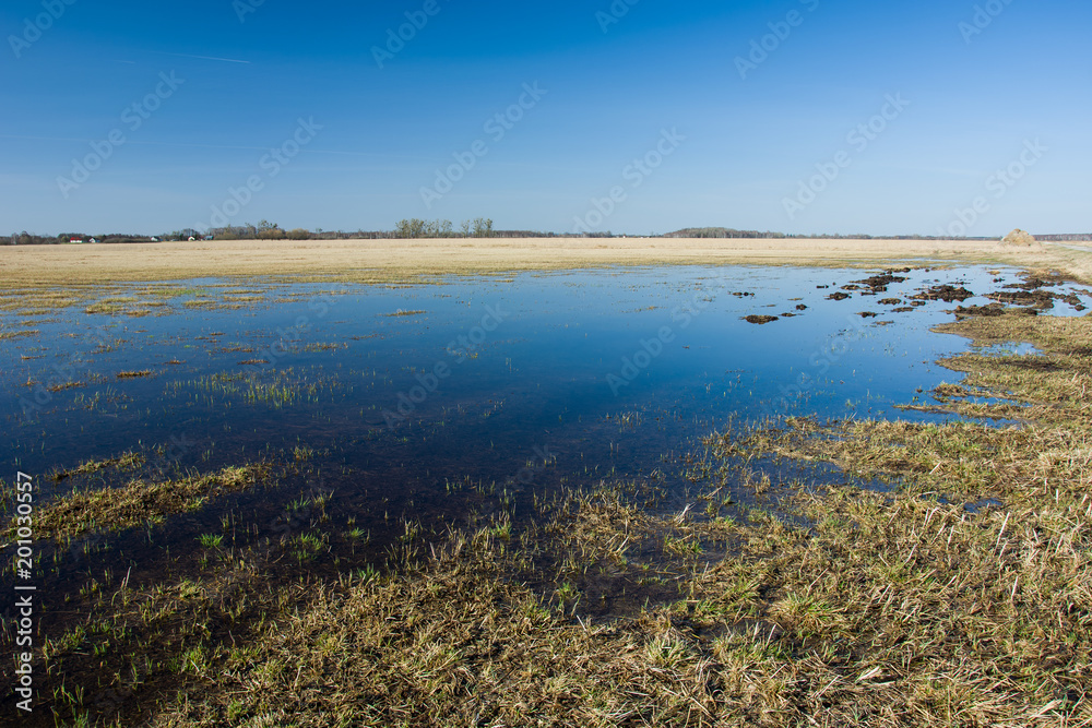 Flooded fields and clear sky