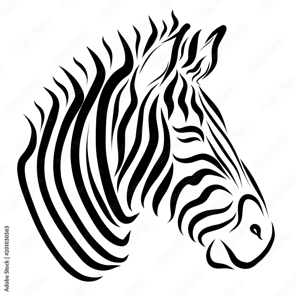 The head of the zebra, painted only with black lines The head of the zebra, painted only with black lines
