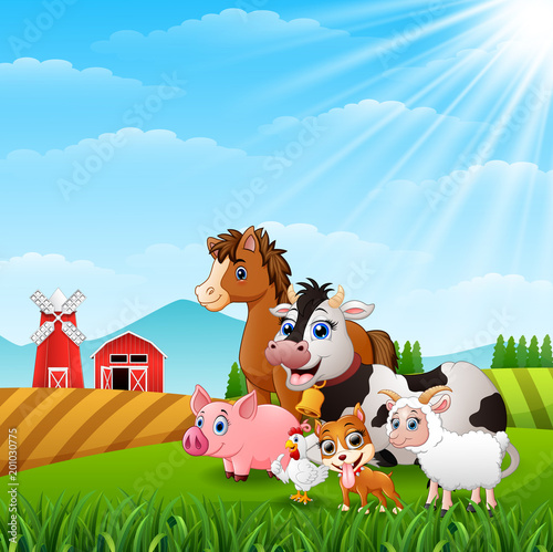Animals happy at  the farm hills
