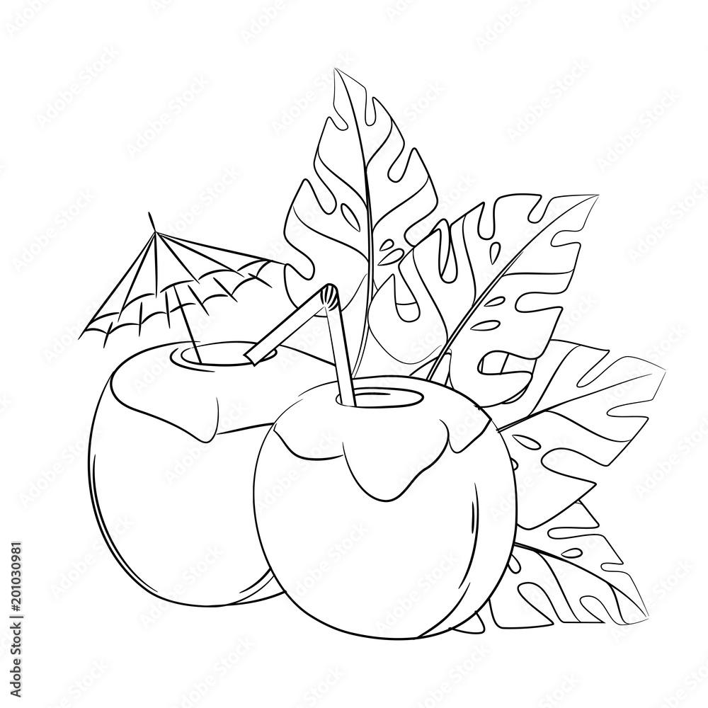 coconuts coloring pages