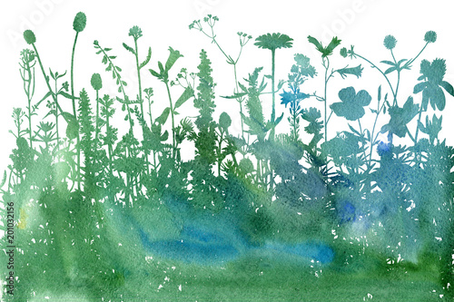 Watercolor background with drawing herbs and flowers