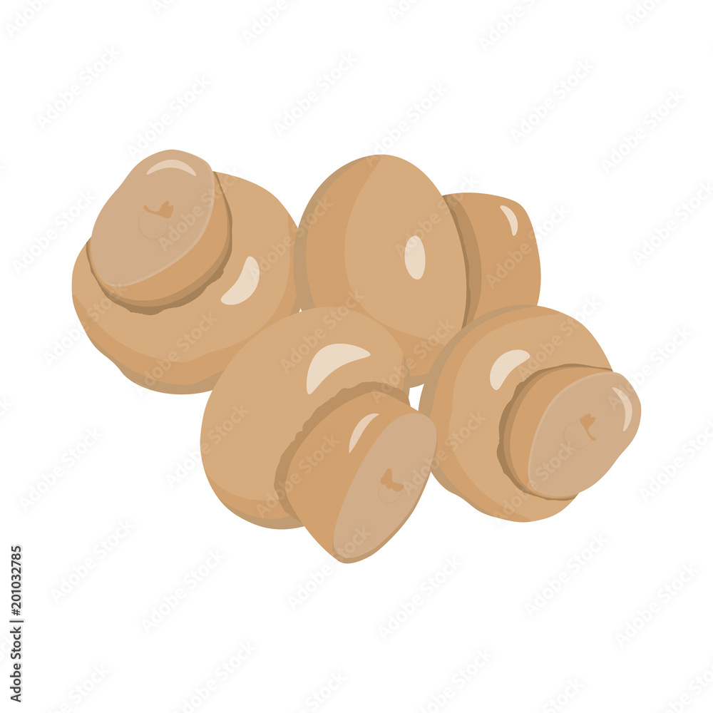 Set of Mushrooms. Vector illustration Set of Mushrooms. Vector illustration
