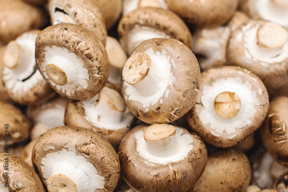 Fresh white and brown selected champignons mushrooms on the shop. texture background Fresh white and brown selected champignons mushrooms on the shop. texture background