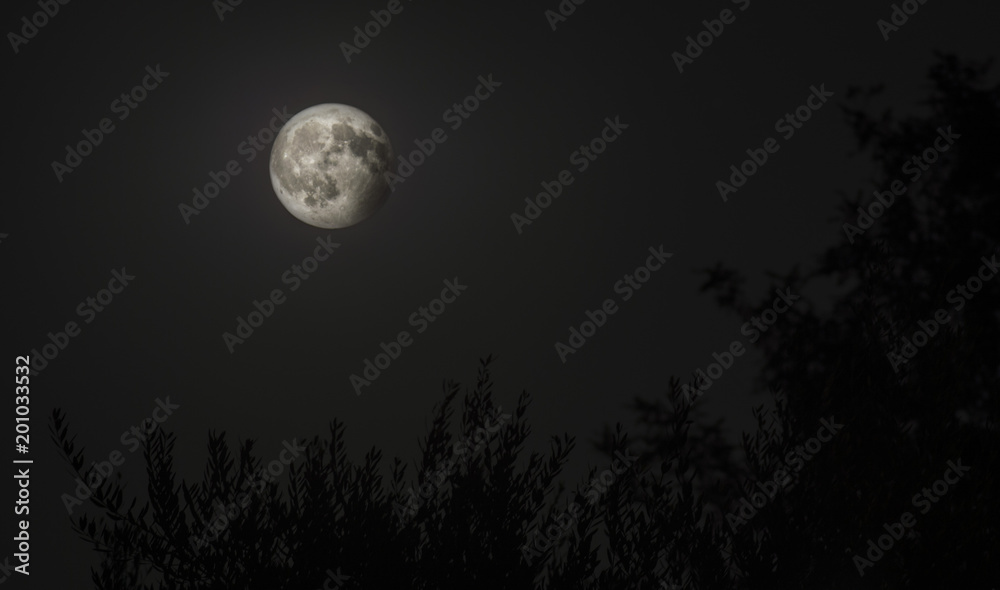 Luna Luna