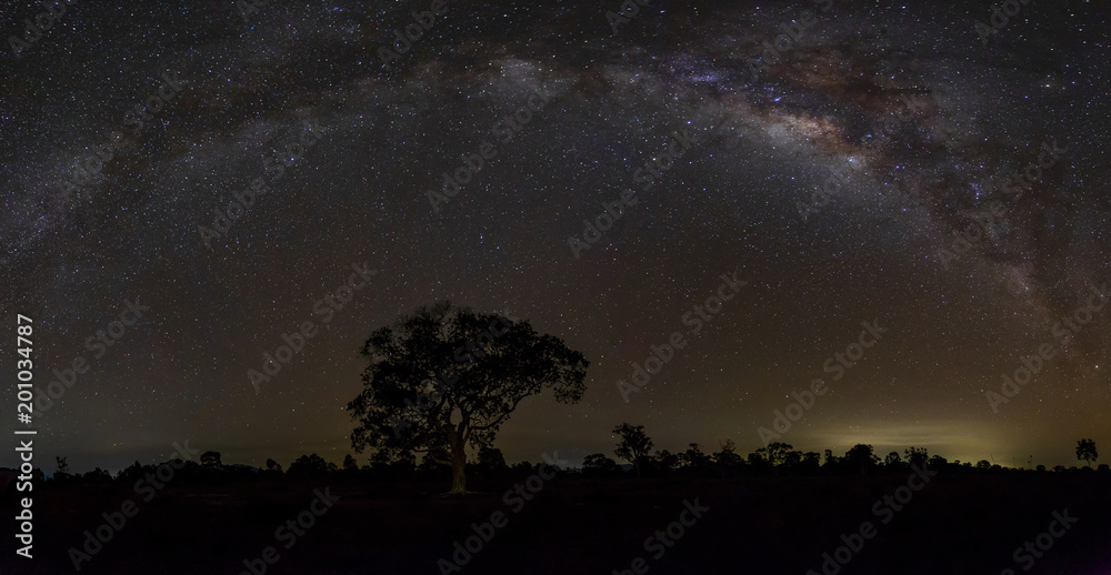 Milky Way with alone old tree on the island of south Thailand. Space background. Amazing astrophotography.
