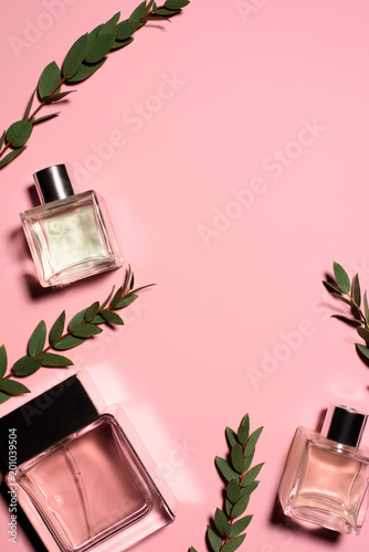 top view of bottles of perfumes with green branches on pink surface