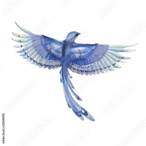 Blue Jay Bird Flying Watercolor Hand Drawn Illustration Blue Feathers Cute Bird Character Vector De Stock Adobe Stock