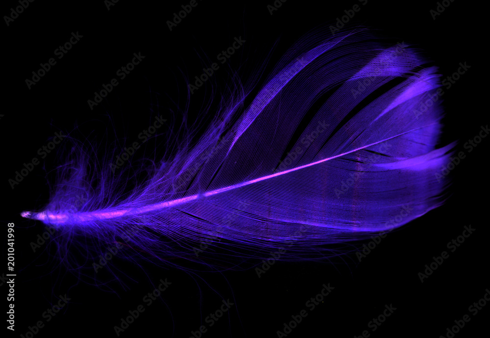 Naklejka premium Niebieskie pióro na czarnym tle