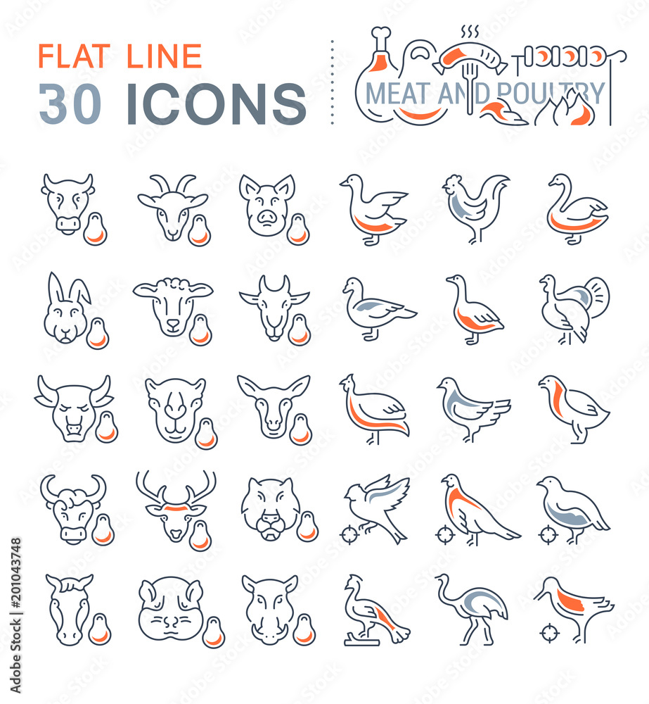 Set Vector Line Icons of Meat and Poultry. Set Vector Line Icons of Meat and Poultry.