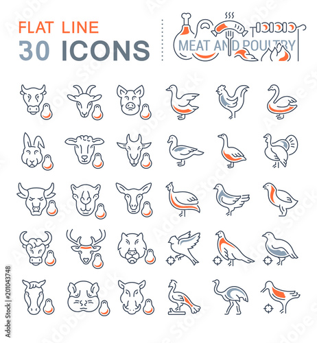 Set Vector Line Icons of Meat and Poultry.