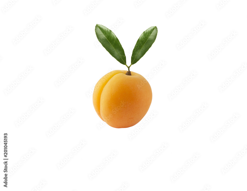Various fresh summer berries. Ripe apricots with copy space for text. Fruit on white background. Apricots with leaves isolated on white background. Various fresh summer berries. Ripe apricots with copy space for text. Fruit on white background. Apricots with leaves isolated on white background.