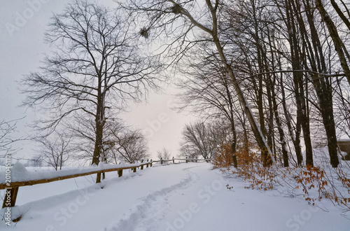 Winter scenery. Rural pathway covered with snow.