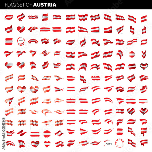 Austria flag  vector illustration