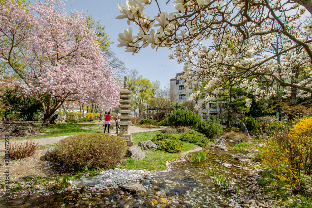 Obraz premium Der Frühlig im Setagaya Park, Wien, Österreich