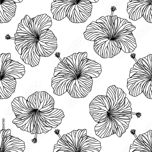 Seamless vector background  outline hibiscus flowers on white background