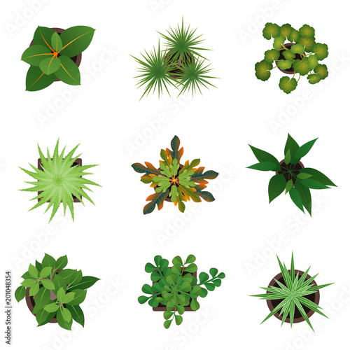 Realistic Detailed 3d Top View Green Plants Set. Vector