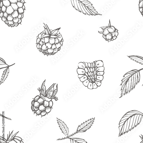 Hand drawn raspberry. Retro sketch style vector illustration. Perfect for invitation, wedding or greeting cards. Seamless pattern.
