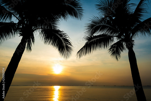 Silhouette coconut palm trees during sunset for summer holiday and vacation concept.