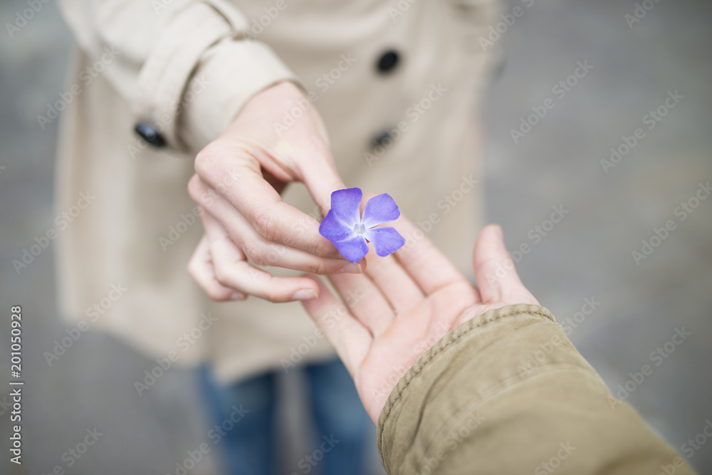 菫の花を手渡す男女の手