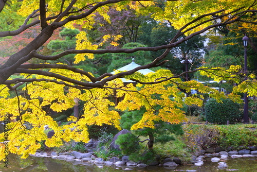  日比谷公園の紅葉 黄葉が美しい