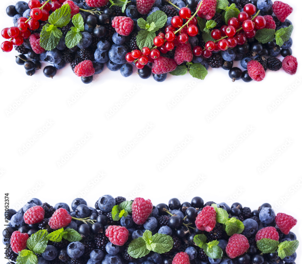 Bunches of Berries Border Raspberry Blueberry Strawberry Satin