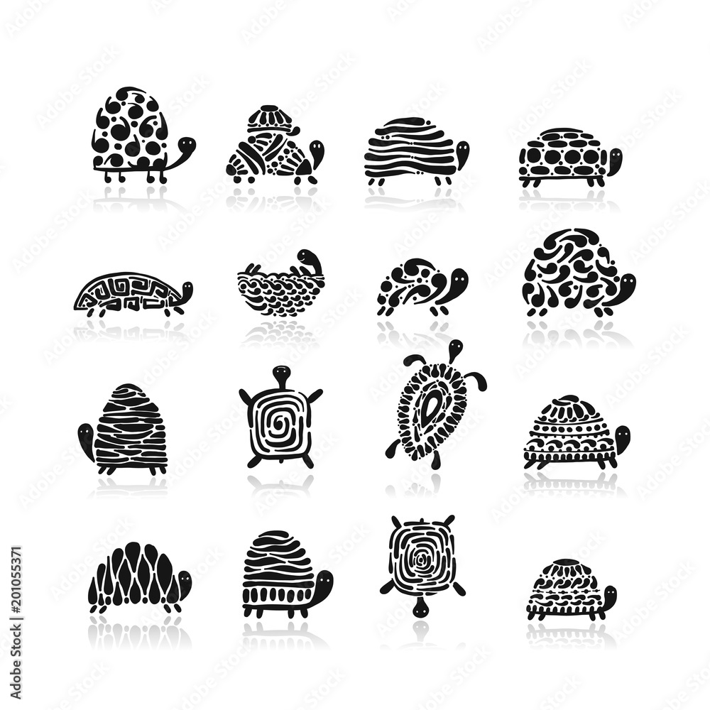 Fototapeta premium Turtle logo set for your design