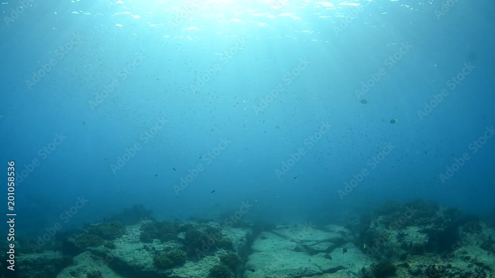 Coral reef scenics of the Sea of Cortez, Baja California Sur, Mexico. Coral reef scenics of the Sea of Cortez, Baja California Sur, Mexico.