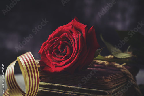 red rose, book and Catalan flag photo