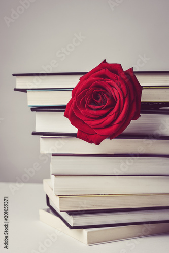 red rose and books photo