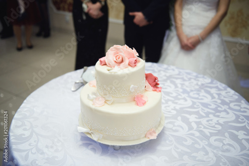 Elegant Cake with Roses