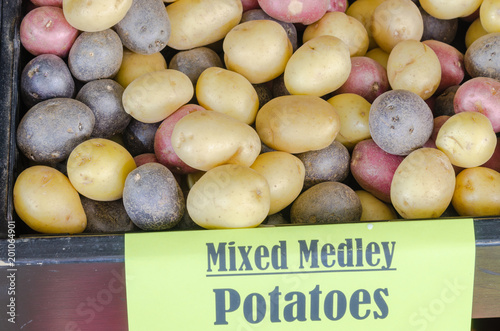 Valokuva Close-up full frame view pile of organic mixed medley potatoes at farmer market