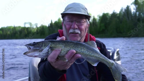 fisherman showing his prized walleye and then drops it 4k slow motion photo