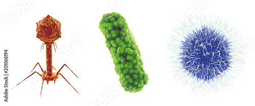 Bacteriophage virus , bacterium and Mimivirus , Set of microscopic germs that cause infectious diseases , isolated on white, Viral and bacterial infection