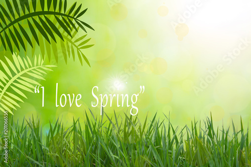 i love spring