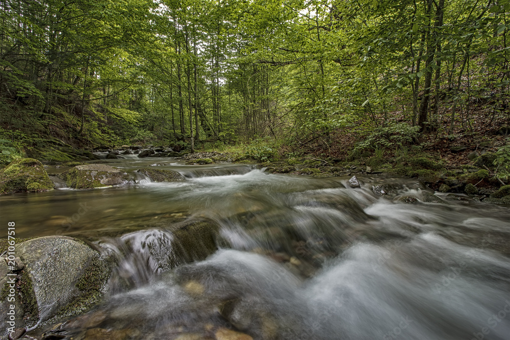 Fantastic landscape with trees, green leaves, stones and motion blur water on a mountain. Fantastic landscape with trees, green leaves, stones and motion blur water on a mountain.