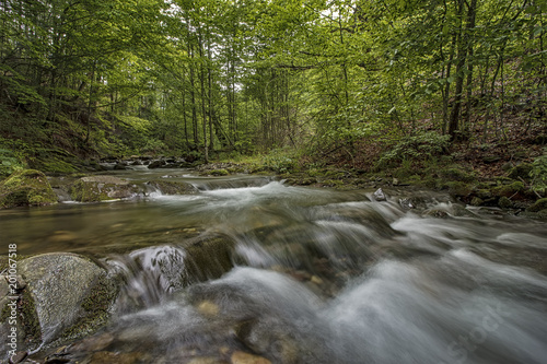 Fantastic landscape with trees, green leaves, stones and motion blur water on a mountain.