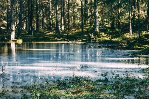 A frozen pond in spring in ...