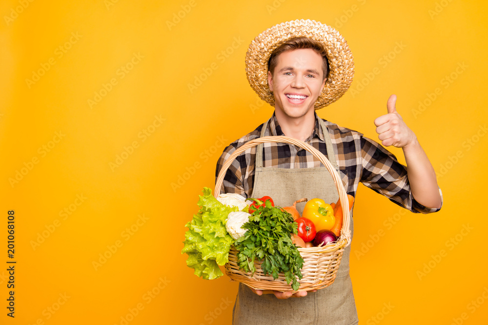 Cultivation package plant pick people person growing parsley pepper salad cabbage carrot concept. Portrait of excited joyful pleasant confident kind greengrocer with toothy smile isolated background