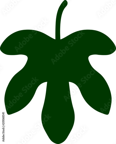 Fig leaf