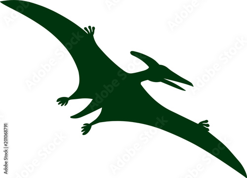 Pterodactyl Dinosaur 