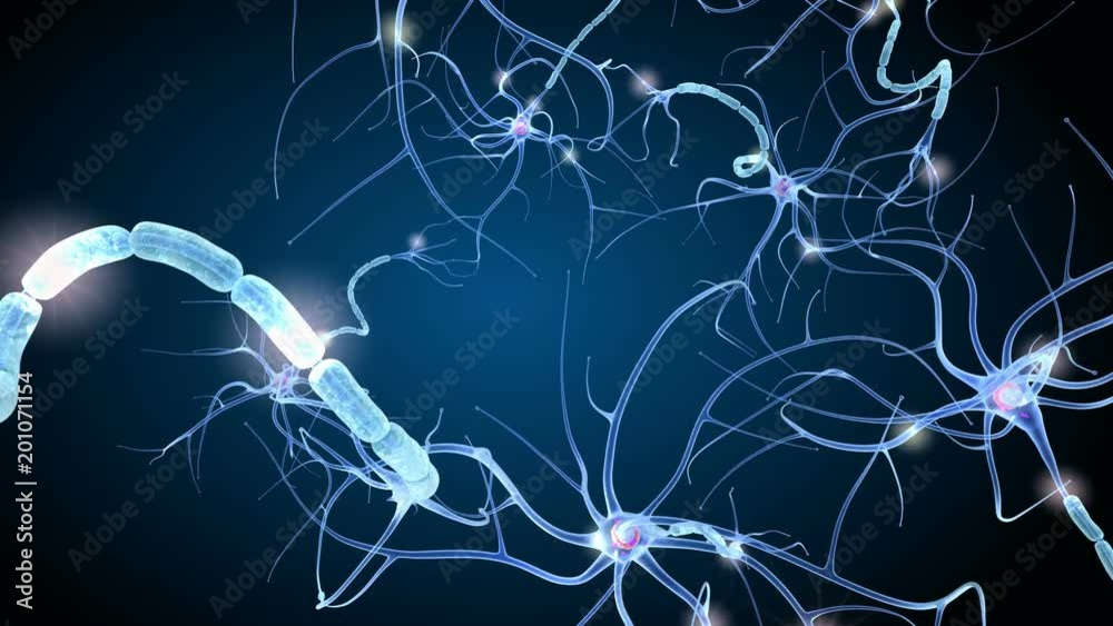Nerve cell anatomy in details. 3D animation