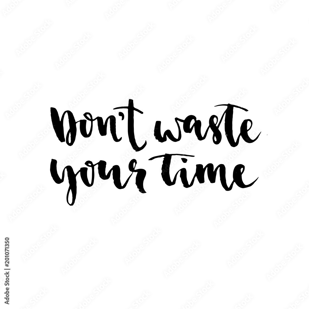 Don't waste your time. Modern brush calligraphy. Handwritten ink lettering. Hand drawn vector elements. Modern brush calligraphy. Isolated on white background.