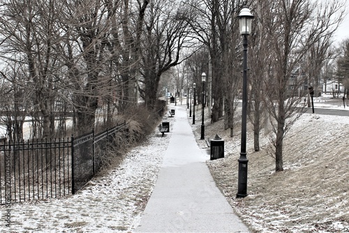 Solitary snowflakes